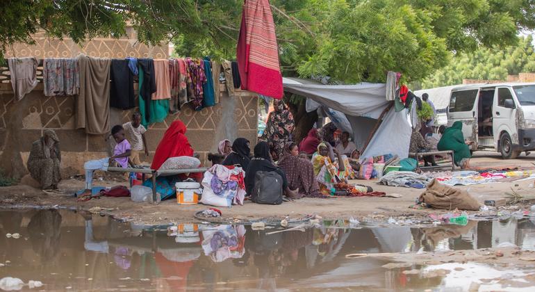 عائلات نازحة فرت من ولاية سنار في جنوب شرق السودان ولجأت إلى ولاية كسلا.